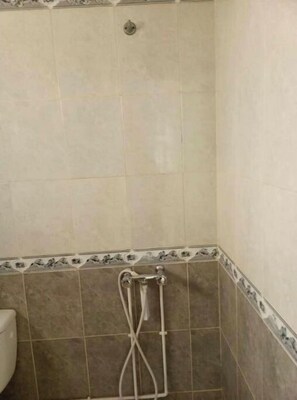 Douche, serviettes fournies, papier toilette