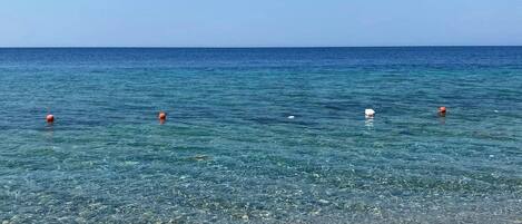 Ranta