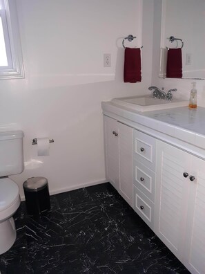 Hair dryer, towels, soap, shampoo