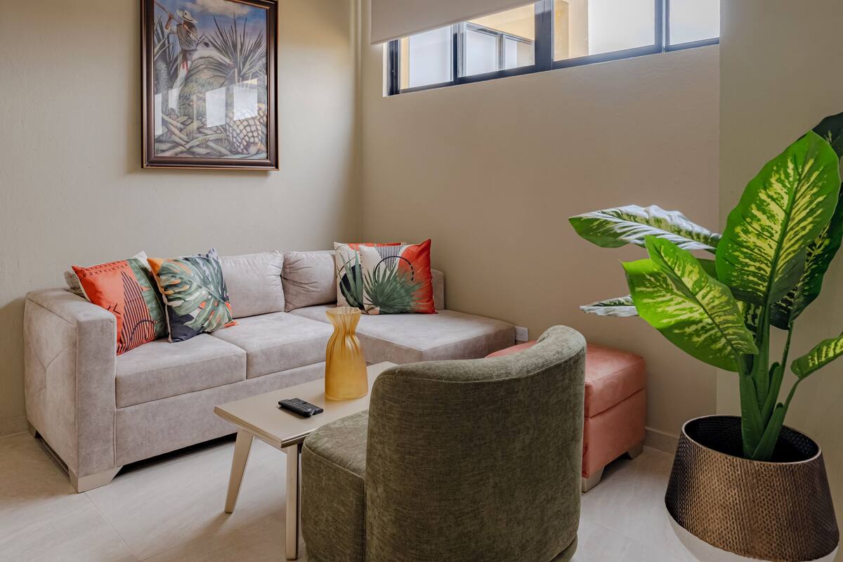A modern living room with a sofa, a coffee table, a chair, and a large potted plant.