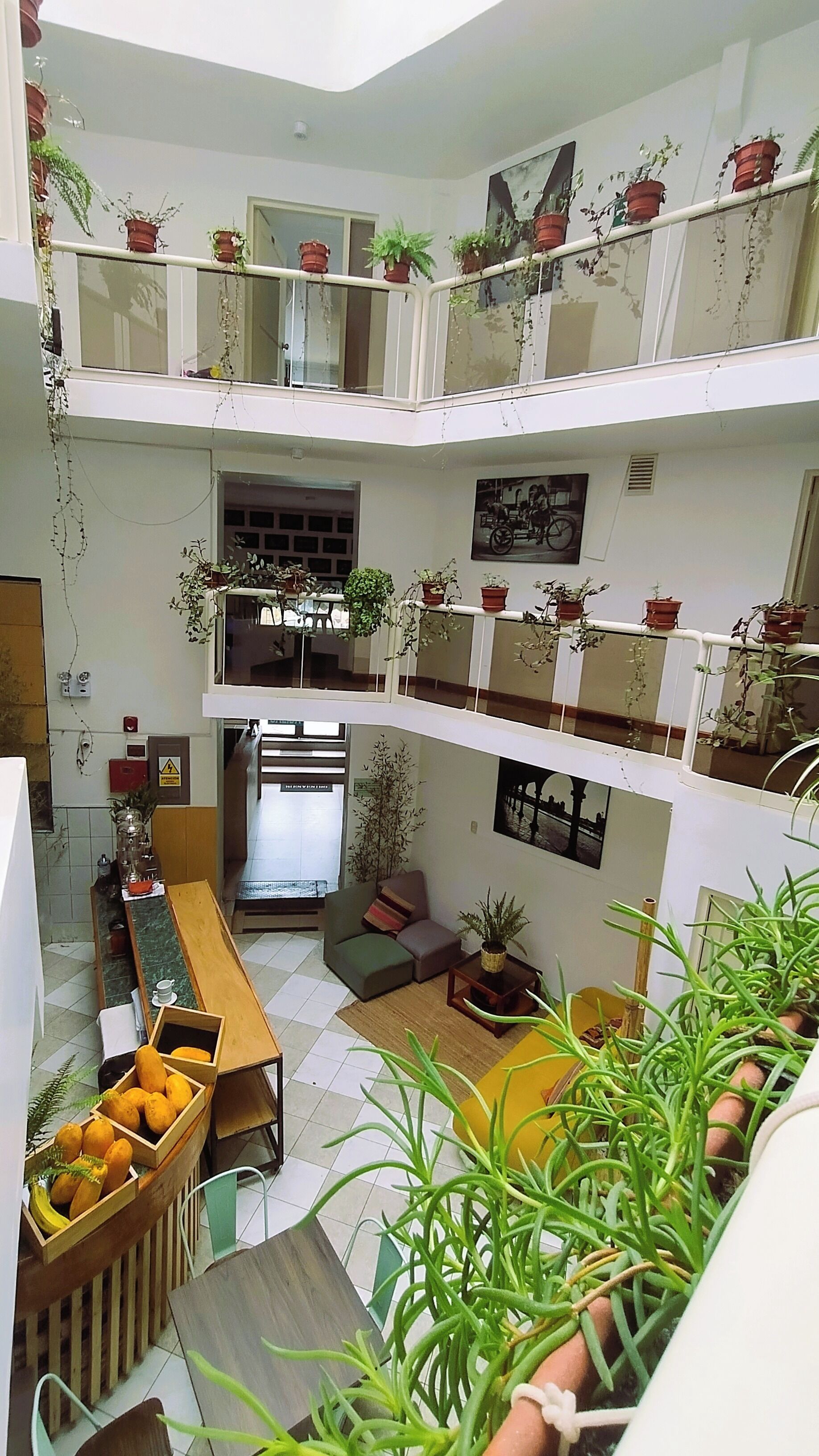 Photo - Central Market Hotel San pedro