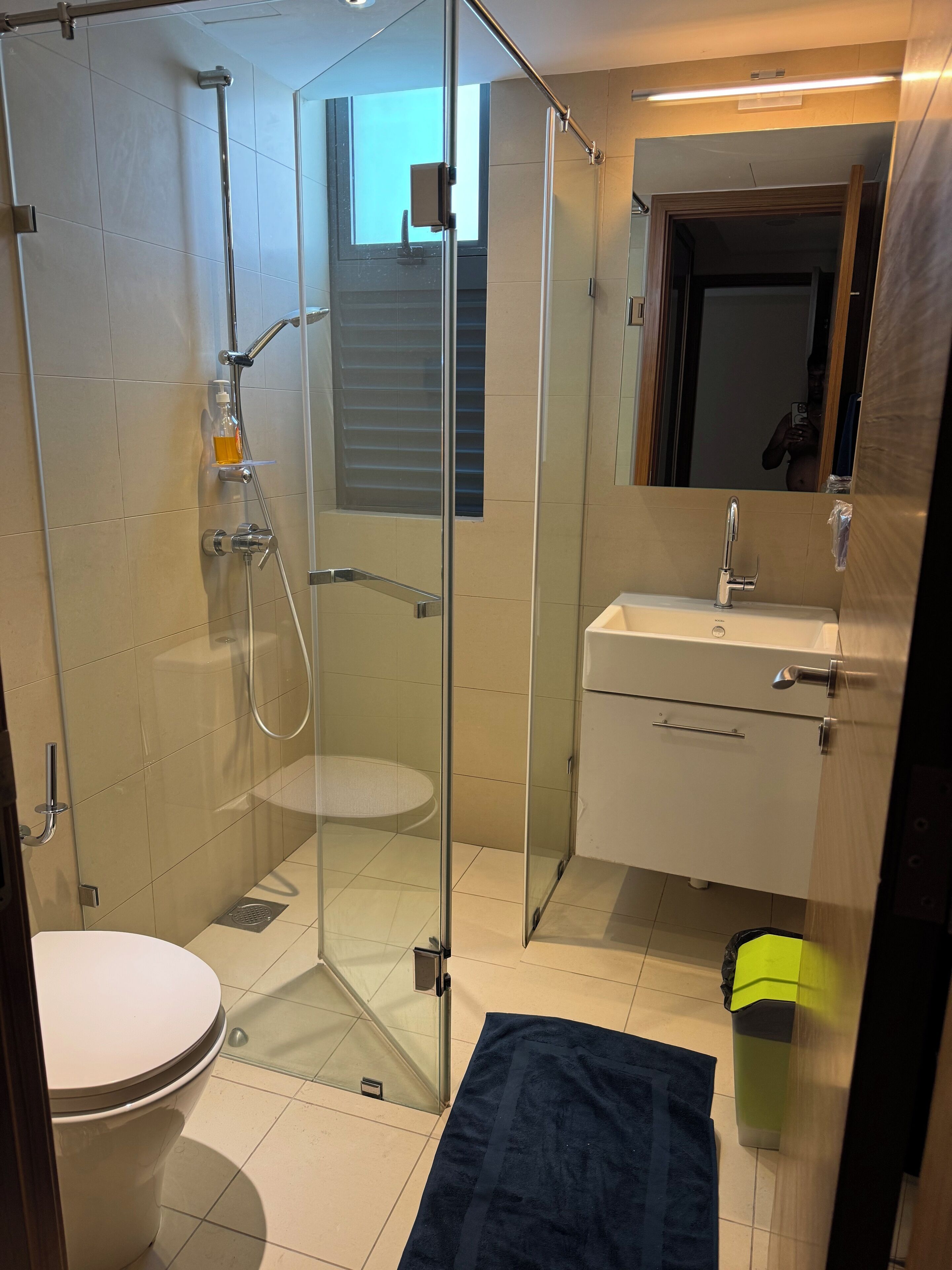 A modern bathroom with a glass-enclosed shower, a toilet, a sink, and a mirror.