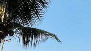 Unclassified image, 5 of 21, button - Floresta Mar (Angra dos Reis)