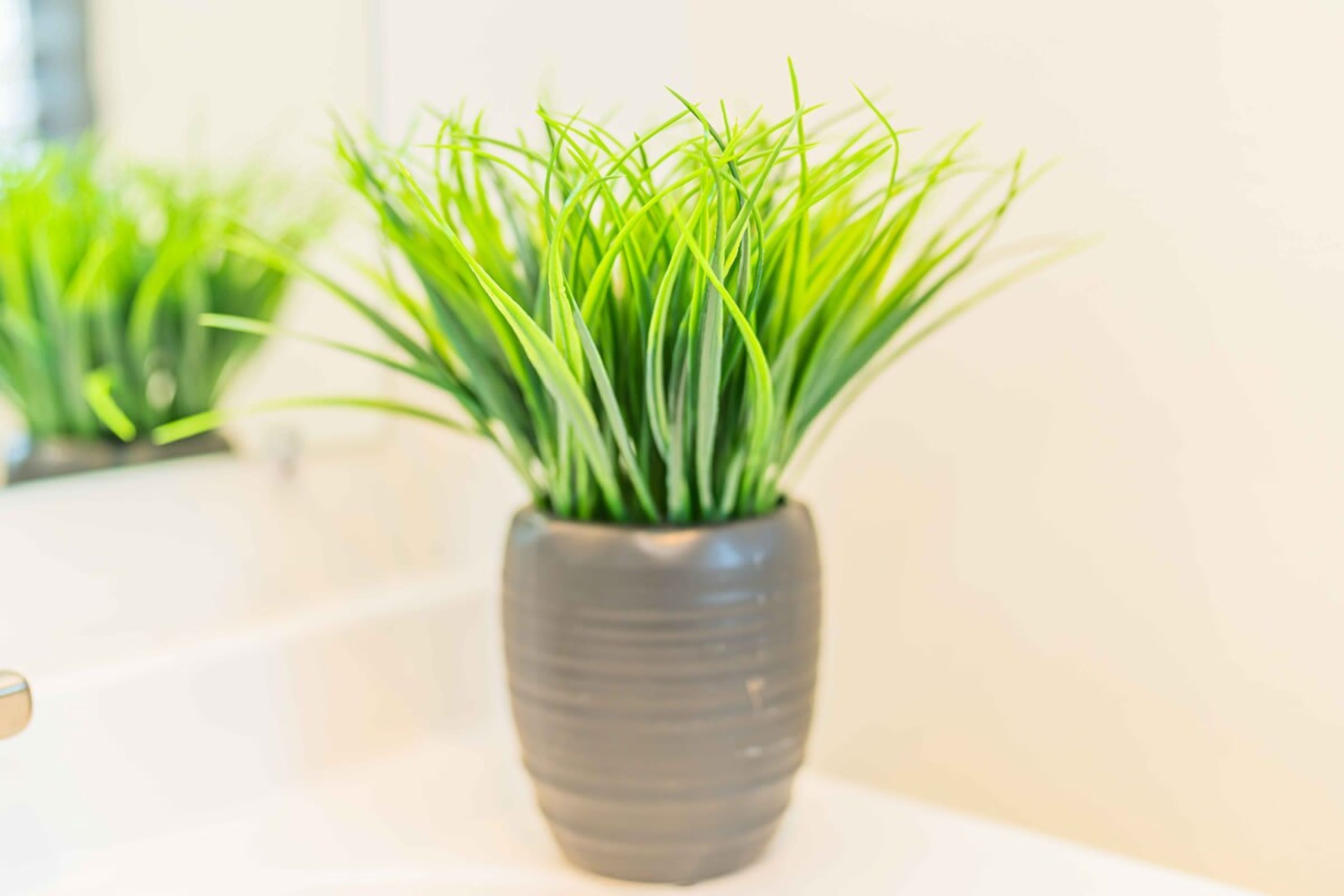 A potted plant with green foliage in a modern, textured pot.