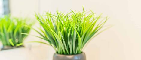 A potted plant with green foliage in a modern, textured pot.