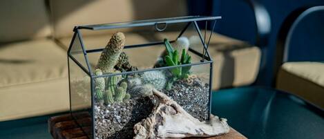 A glass terrarium with cacti and succulents on a wooden coaster.