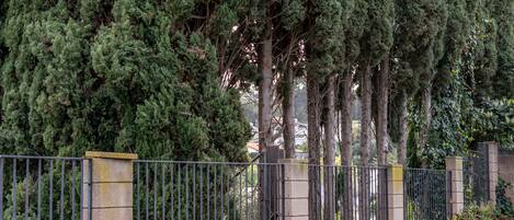 4 chambres, Internet