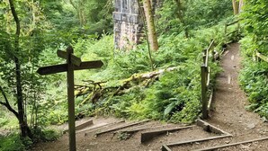 A forested hiking trail with wooden benches and a directional signpost.