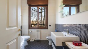 Shower, hair dryer, bidet, towels