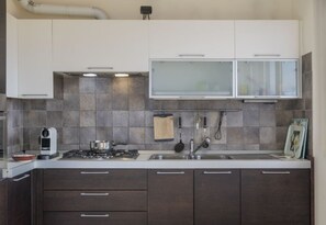 Fridge, oven, stovetop, dishwasher