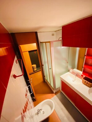 Shower, hair dryer, bidet, towels