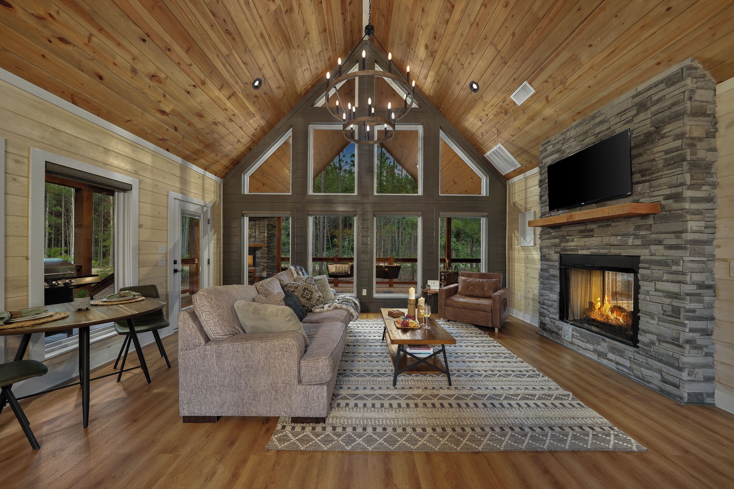 Smart-tv, pejs, bøger