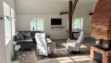 Fernseher, Kamin, Bücher