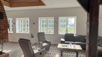 TV, fireplace, books