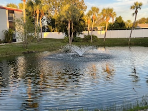 Property grounds - Beautiful and sunny villa with the view of the pool and lake (Sarasota)