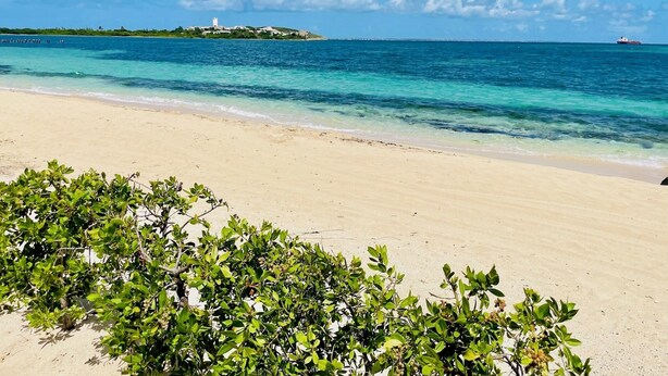 A beach with clear turquoise water, a sandy shore, and green vegetation in the foreground. - Côté Mer - NBBC - 2 bedrooms beachfront (Marigot)