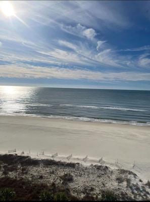 A beach with a clear sky, calm sea, and a sandy shore with a fence.
