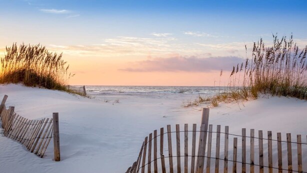 Ein sandiger Strand mit einer Holzlattenzaun und hohem Gras.