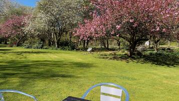 A grassy outdoor area with a table and chairs, surrounded by blooming trees.