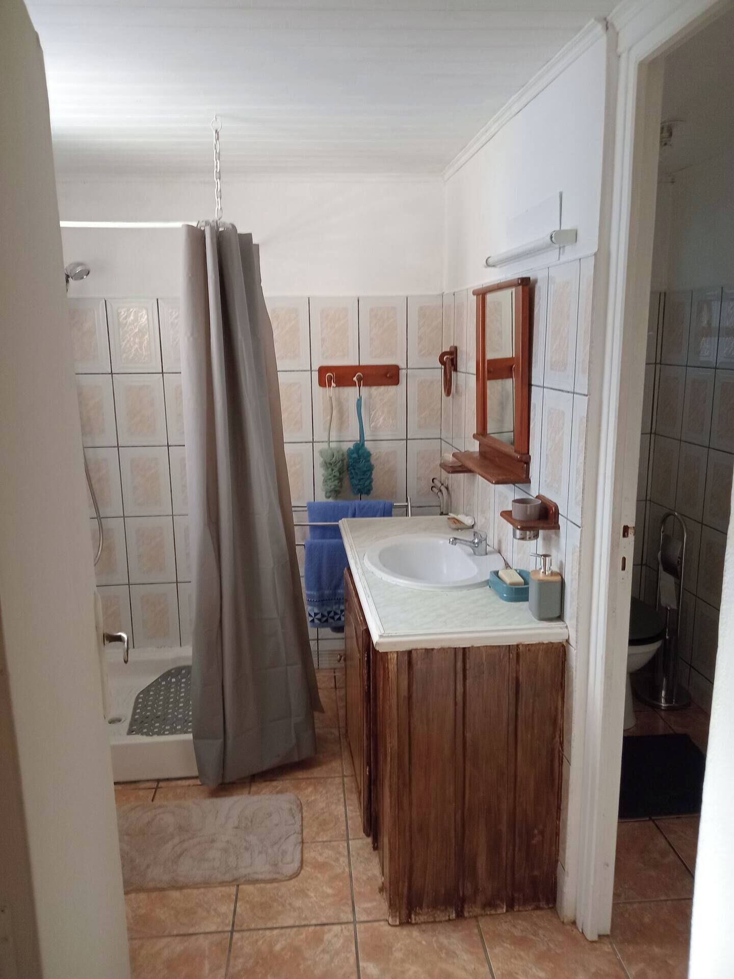 Hårtork, tvål och schampo