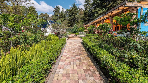 A paved pathway flanked by lush greenery and a building with a colorful facade. - Cabañas Elsa María (Atlautla)