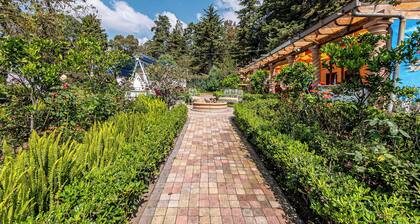 Cabañas Elsa María