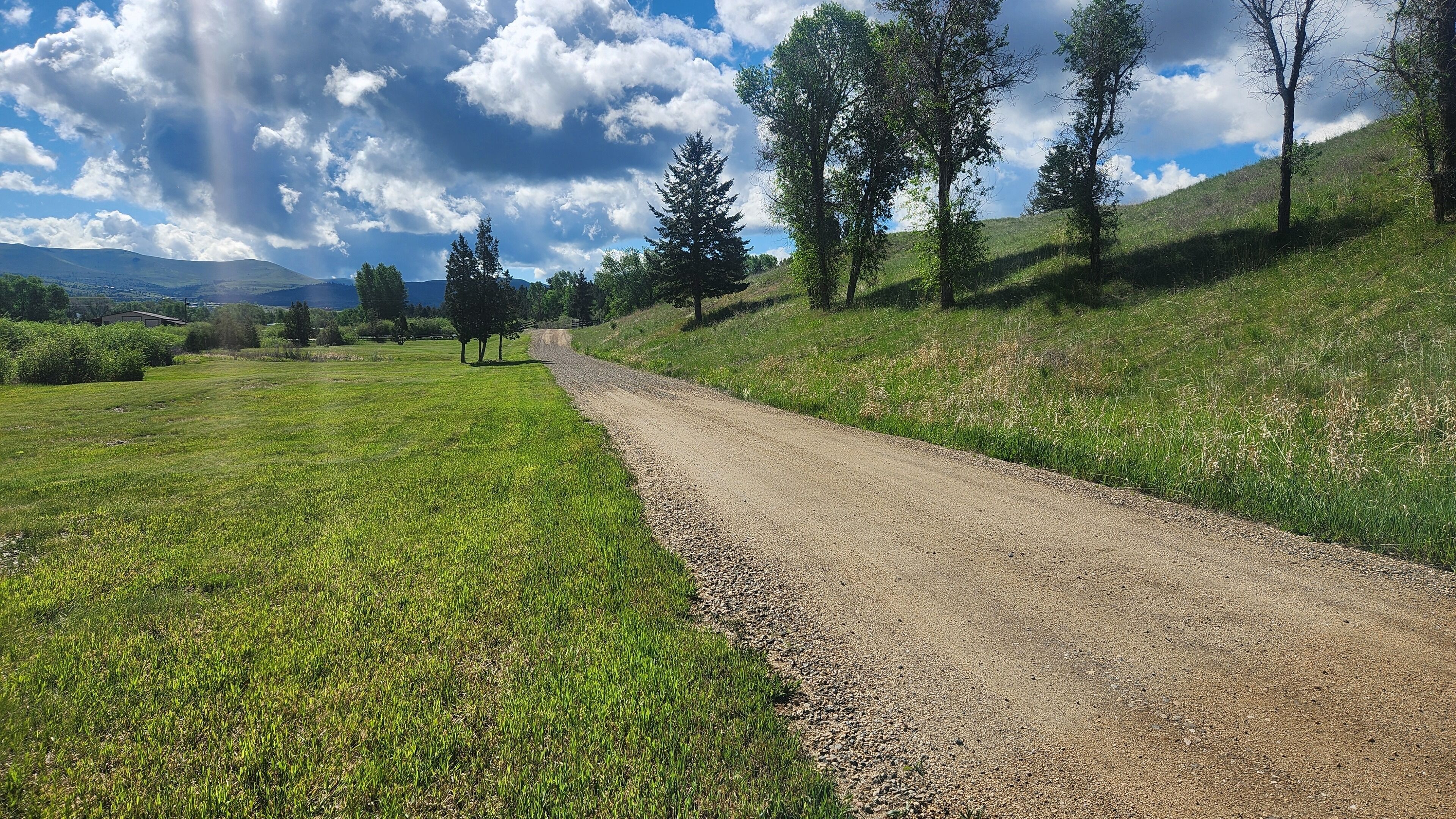 Une route de campagne bordée de champs verdoyants et d’arbres des deux côtés.