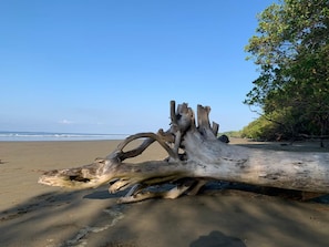 Private beach nearby
