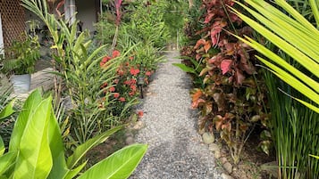 Un chemin menant à une maison dotée d’un balcon bleu, entourée d’une végétation luxuriante et de diverses plantes.