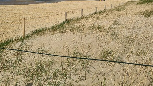 Una spiaggia sabbiosa con una recinzione ed erba in primo piano, sotto un cielo parzialmente nuvoloso.