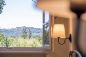 2 bedrooms - Antico Podere La Polletta (Camaiore)