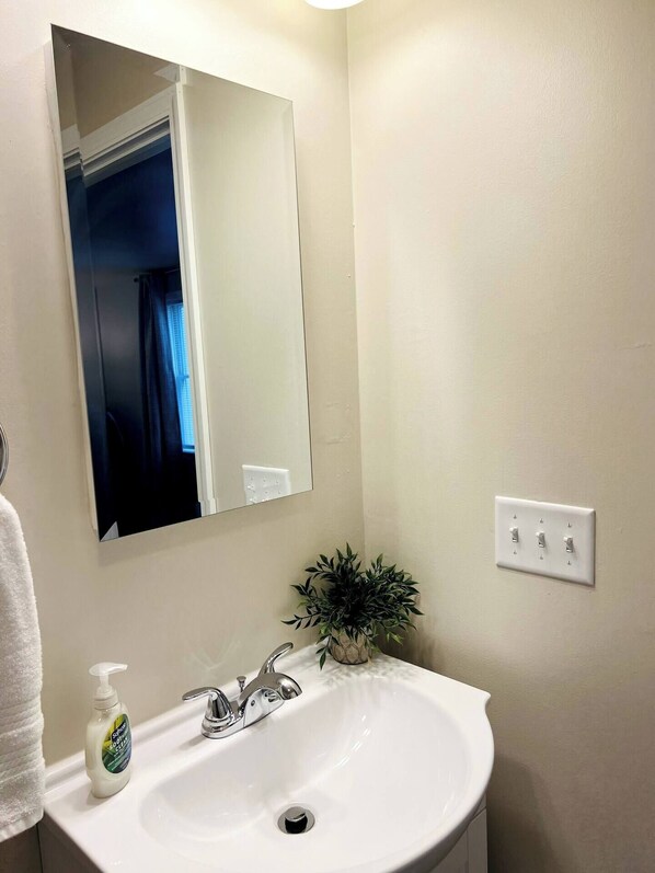 A bathroom with a white sink, a mirror, a plant, and a hand soap dispenser. - Quiet Studio in Kouts/Valparaiso (Kouts)