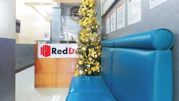 A Red Door reception desk with a Christmas tree and a blue bench.