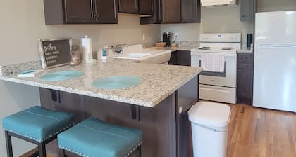 1 Room Studio Apartment-walking distance to coffee shop, restaurants, bars, etc!