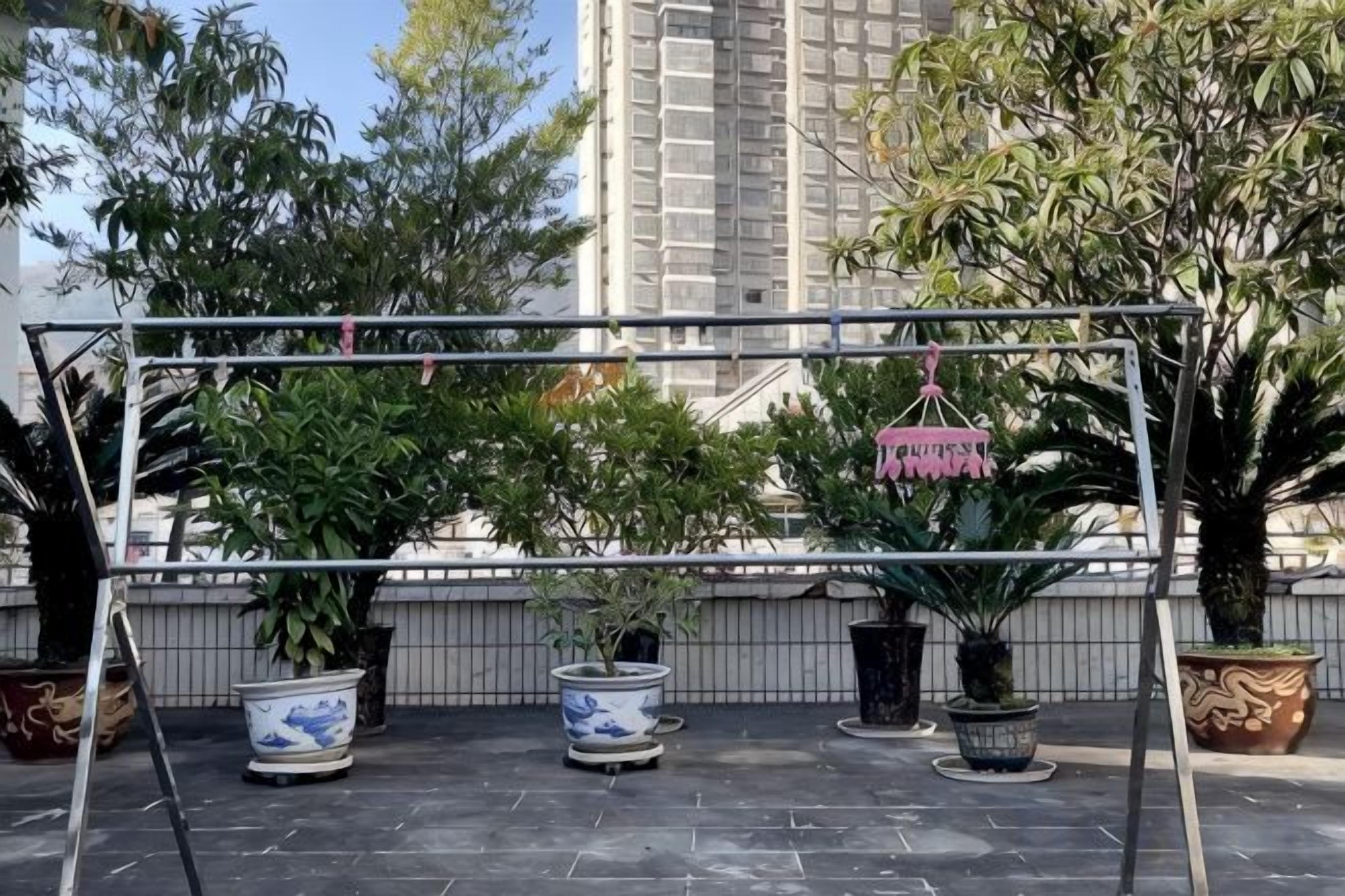 A rooftop garden with potted plants and a metal structure.