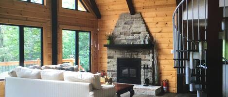 TV, fireplace, DVD player, books