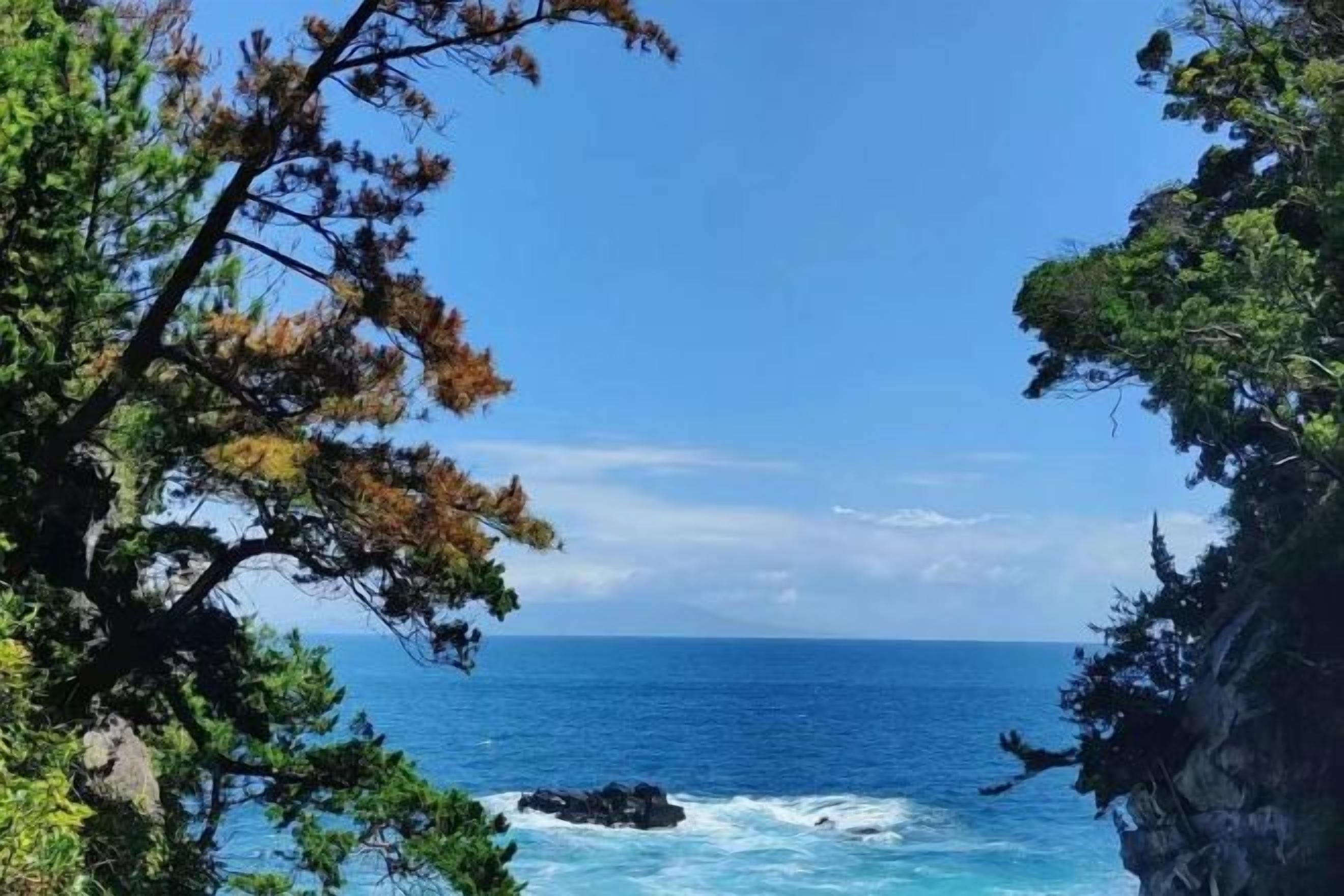 A coastal landscape with a clear view of the sea, a rocky cliff, and dense foliage.