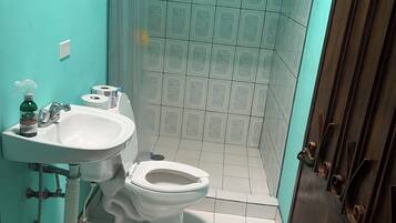 Chuveiro, secador de cabelo, toalhas de banho, sabonete