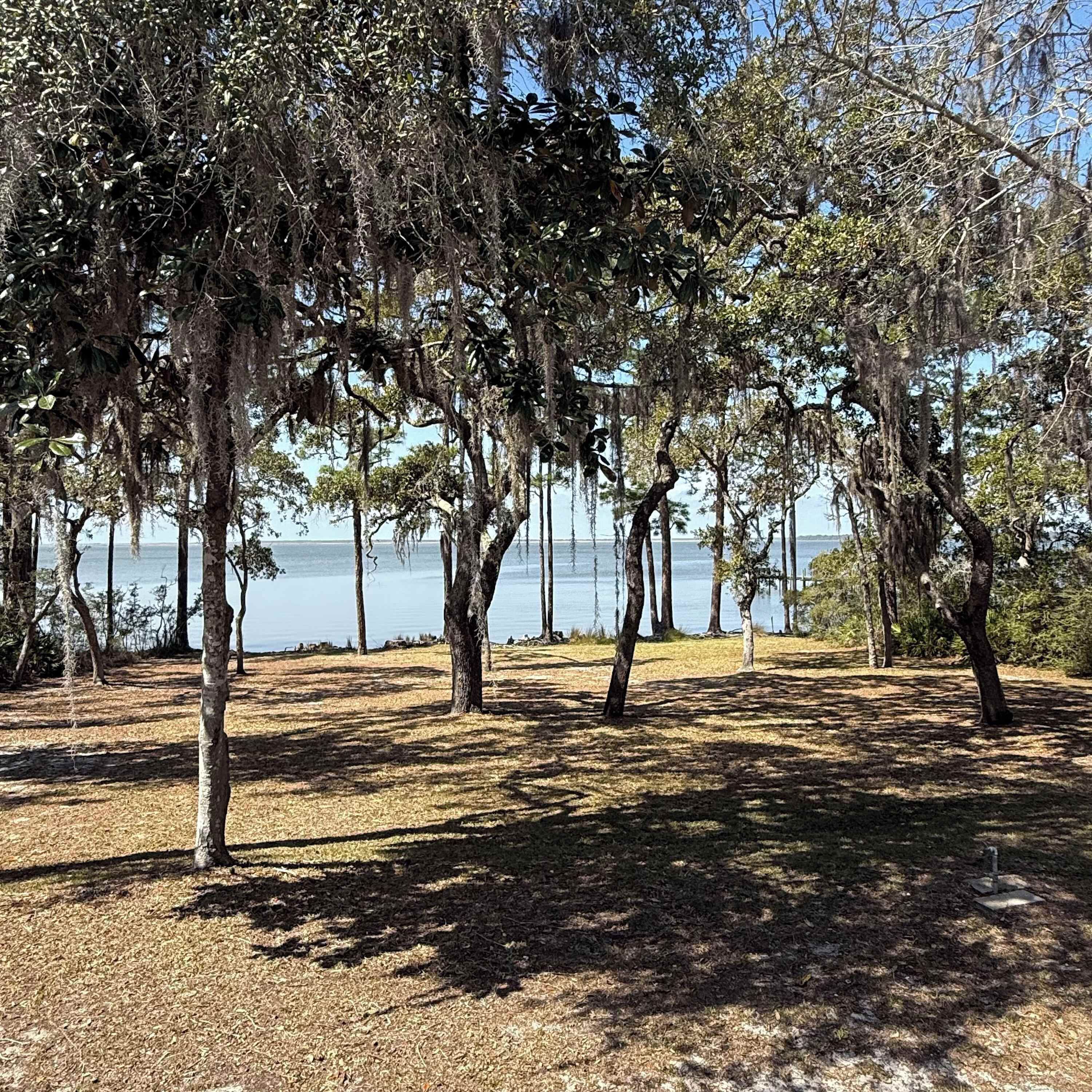 Un parque con árboles y un lago.