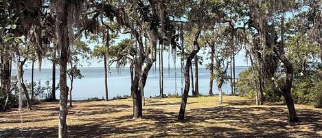 Un parque con árboles y un lago.