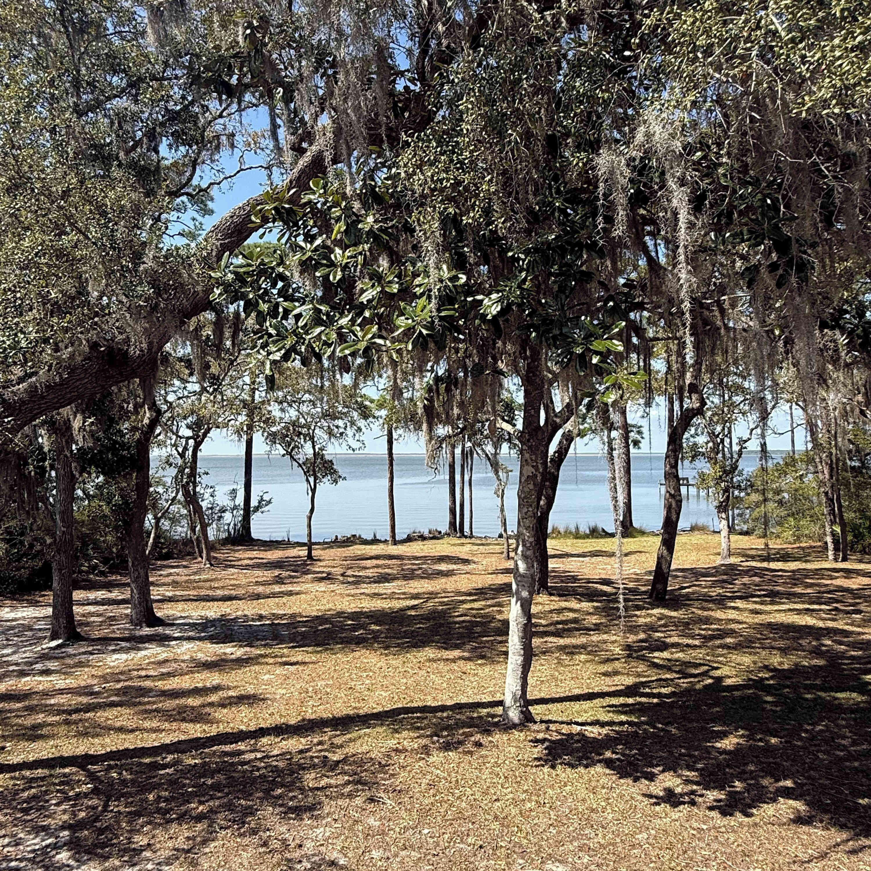 A natural landscape with trees and a body of water in the background.