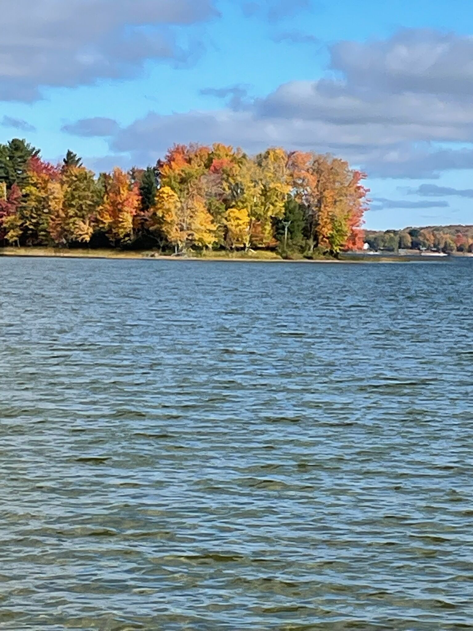 Lakefront Charming 2-bedroom cottage on Douglas Lake with WiFi access