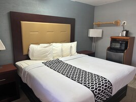 Standard Single Room, 1 King Bed, Non Smoking | 1 bedroom, desk, laptop workspace, free WiFi