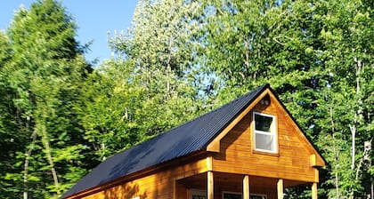 Bear Cabin: Charming 2-bedroom cabin with WiFi, AC in marvelous Sebec