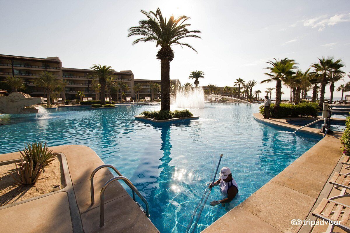 A swimming pool with a palm tree, a fountain, and a person in the water.