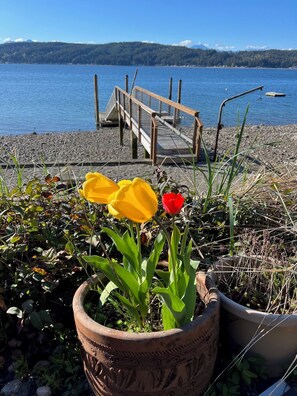 A wooden dock extending into a lake with a forested hill in the background. - Spacious 2 bedroom home with 2 bedroom cabin on the water at Hood Canal. (Belfair)
