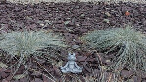 A garden with a rock, a small tree, and a frog statue. - Hébergement Insolite Dans L'esprit Tinyhouse: la Tiny Bulle Pour Deux Personnes (Vignot)