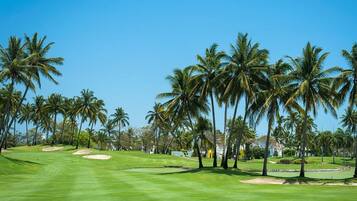 Golfe