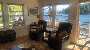 Smart TV, fireplace, DVD player, books