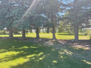 Property grounds - Funny Farm (Idaho Falls)